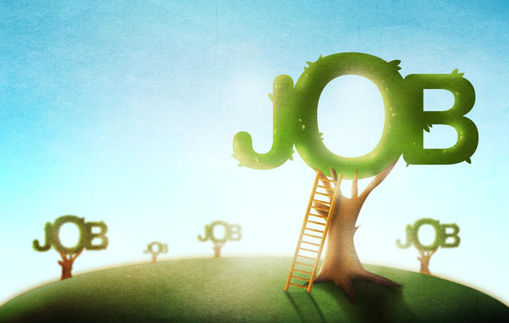 Union Budget 2024-25: Top Sectors for Job Growth